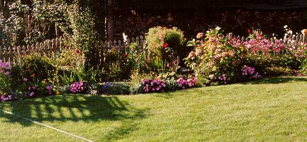 rose96.jpg (44205 bytes)