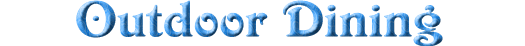 tioutdrd.gif (7755 bytes)