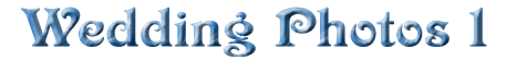 tiwed1.gif (8865 bytes)