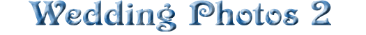 tiwed2.gif (9199 bytes)