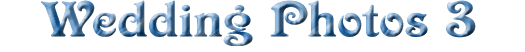 tiwed3.gif (9238 bytes)
